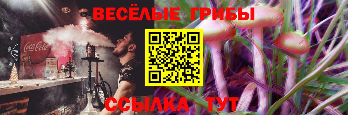 Галлюциногенные грибы мицелий  Галлюциногенные грибы Magic Shrooms  Вход с VPN  Омск 