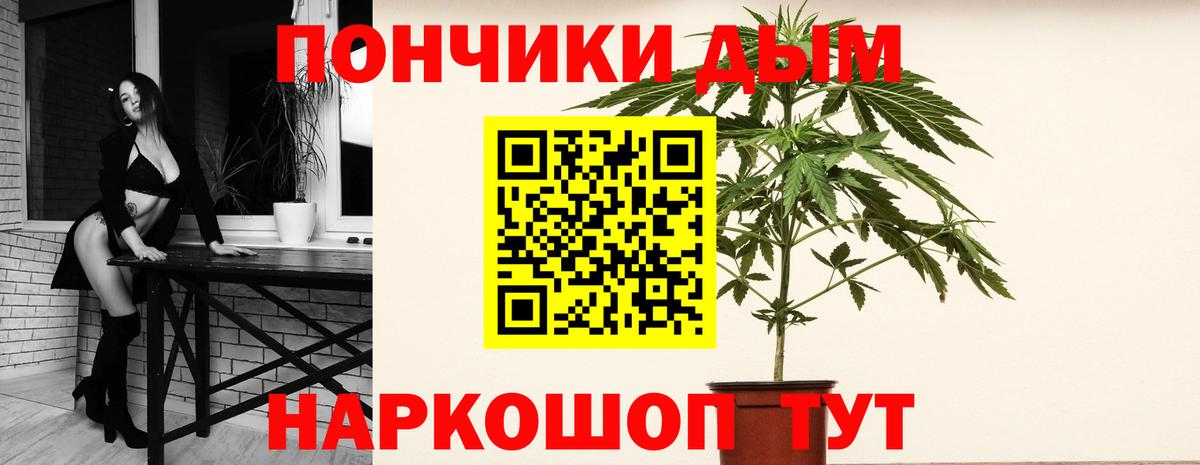 Канабис планчик  Канабис THC 21%  МАРИХУАНА семена  Омск  Канабис план  Вход с VPN 